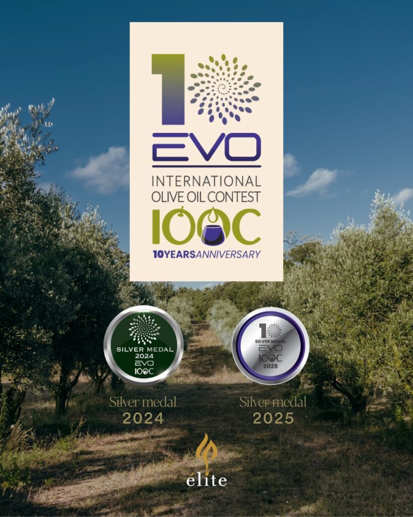 Medaglia d'argento all’EVO IOOC